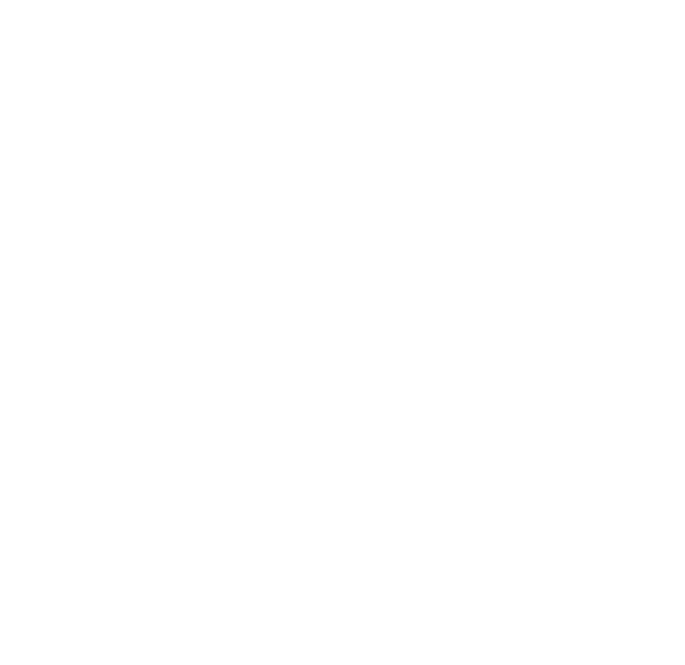Flower Shape Big - Irfu Logo Png White (2327x2258), Png Download
