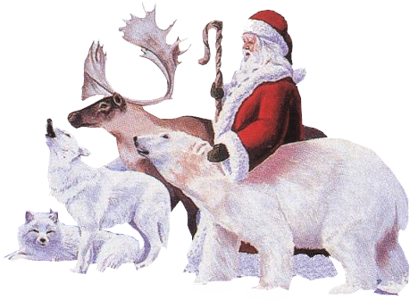 Santa Claus And Animals - .net (515x339), Png Download