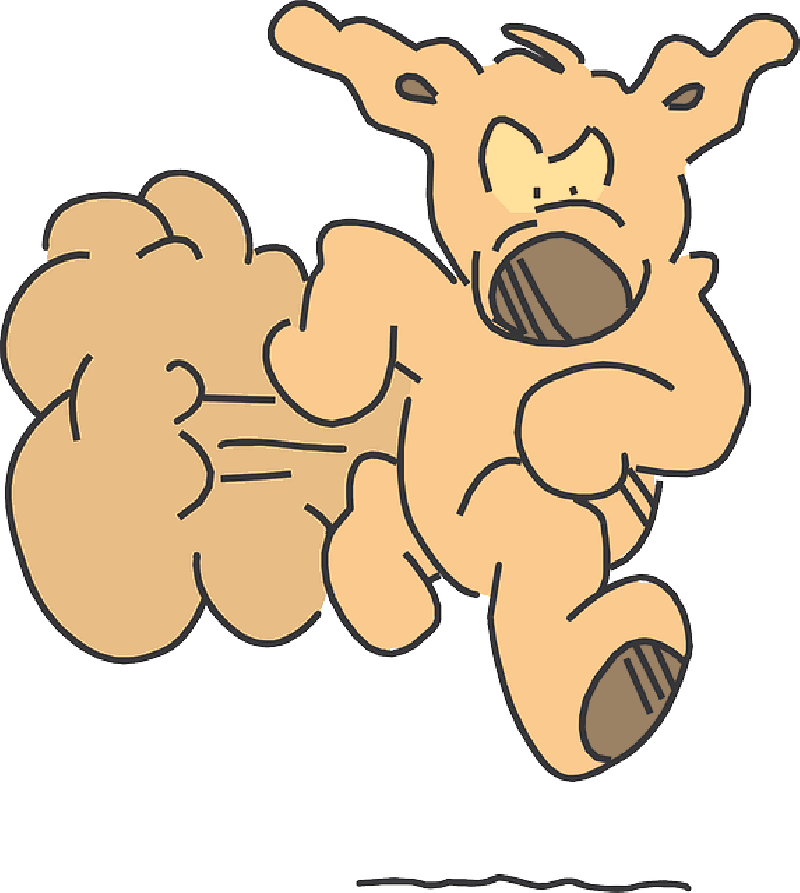 Mb Image/png - Clip Art (800x893), Png Download