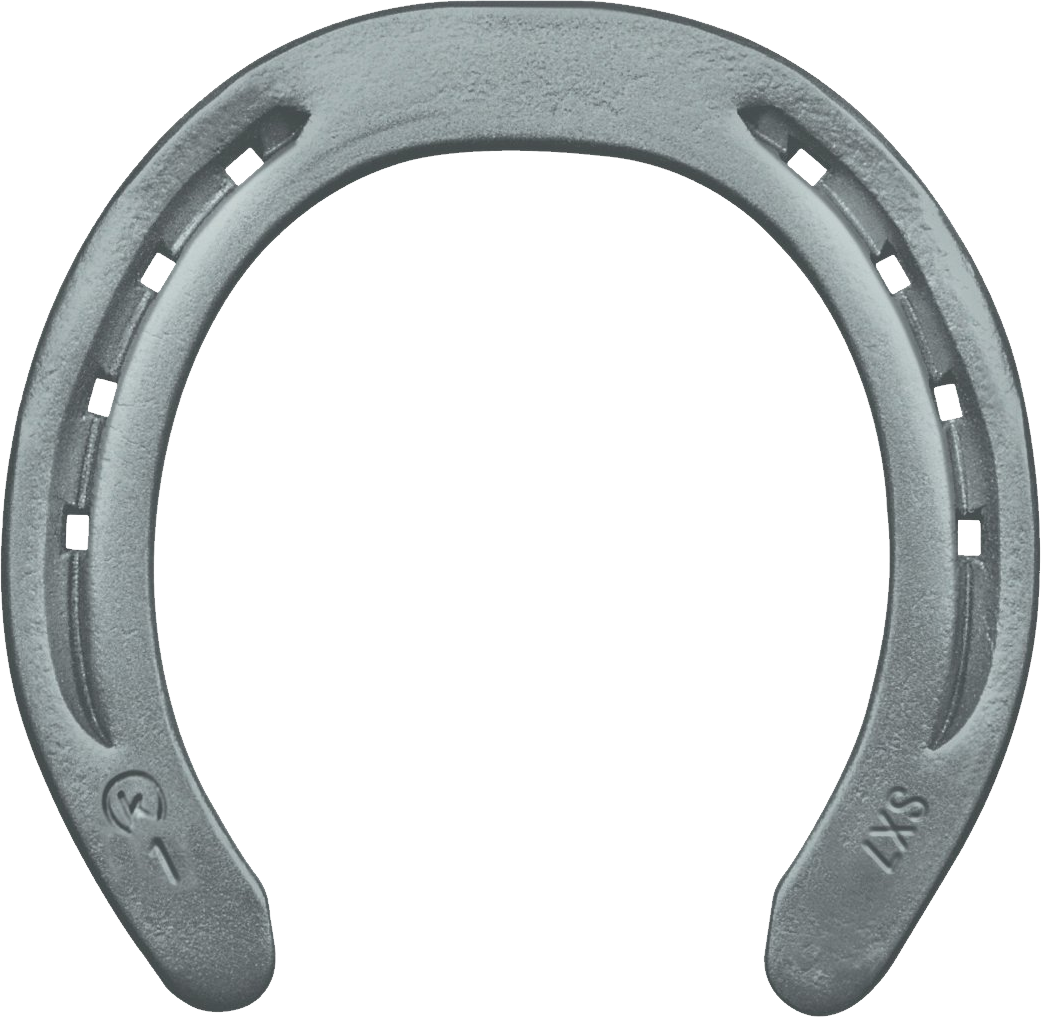 Download Horseshoe Png Horses Shoes Full Size Png Image Pngkit