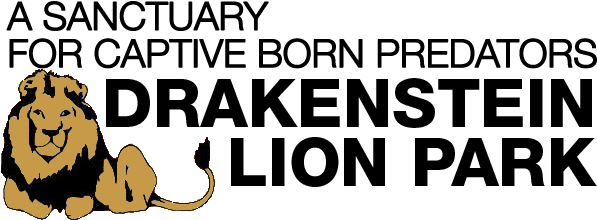 Please Don't Play With Lion Cubs - Jungle Book (600x288), Png Download