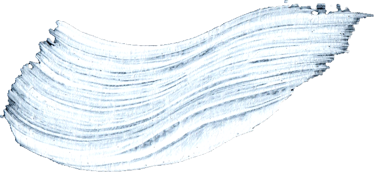 26 White Paint Brush Stroke - Marine Invertebrates (758x349), Png Download