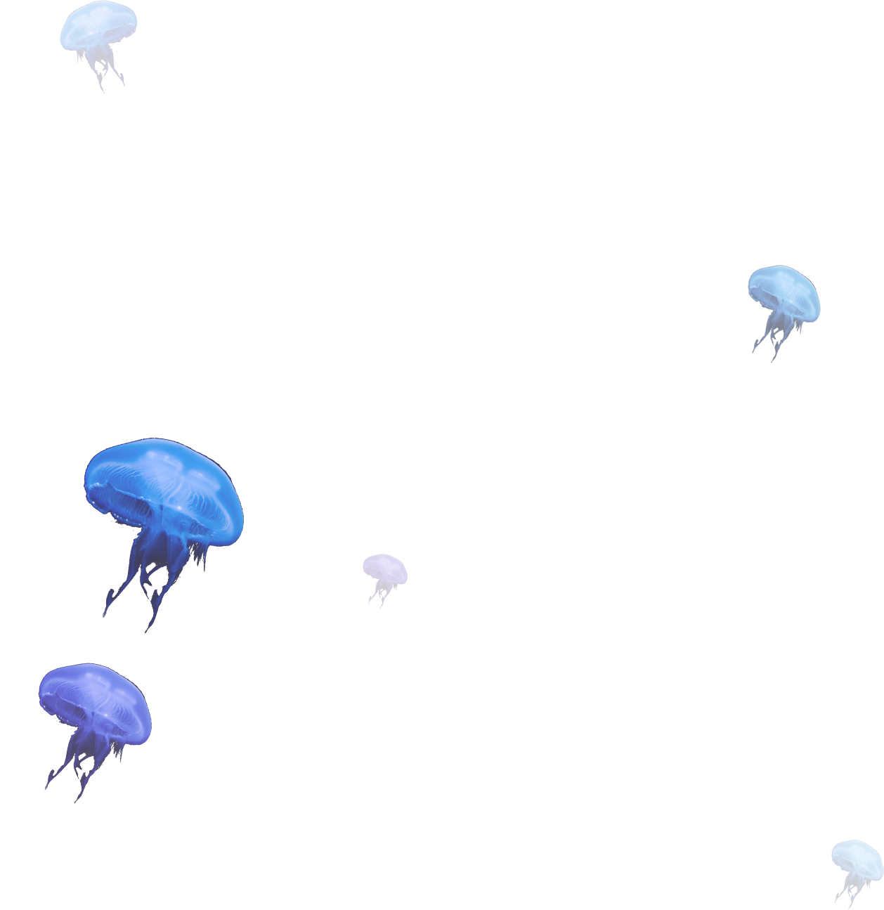 Jellyfish - Parachuting (1258x1295), Png Download