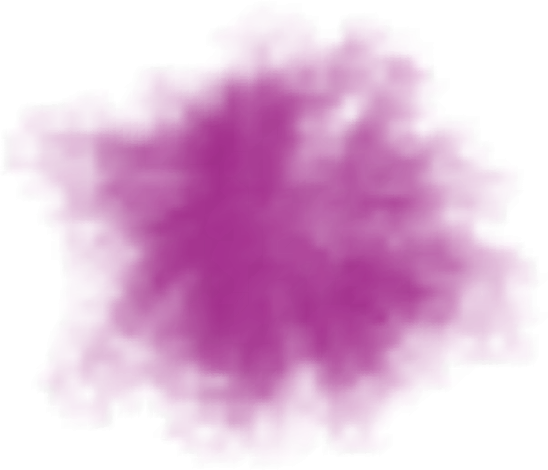 Celebrating The Beauty Of Diversity And The Uniqueness - Flower (548x470), Png Download