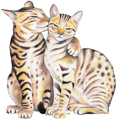 Gallery Wrap (504x504), Png Download