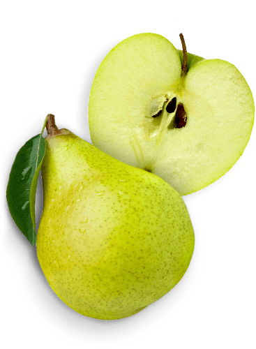 Apple / Pear - Pear And Apple Png (580x540), Png Download