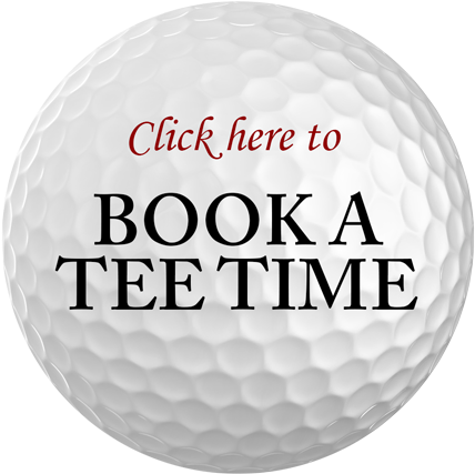 12 Custom White Golf Ball Sets Printed W/ Your Logo (450x430), Png Download