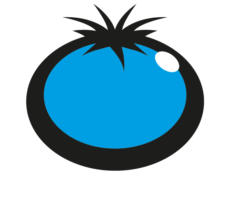 Blue Tomato (800x719), Png Download