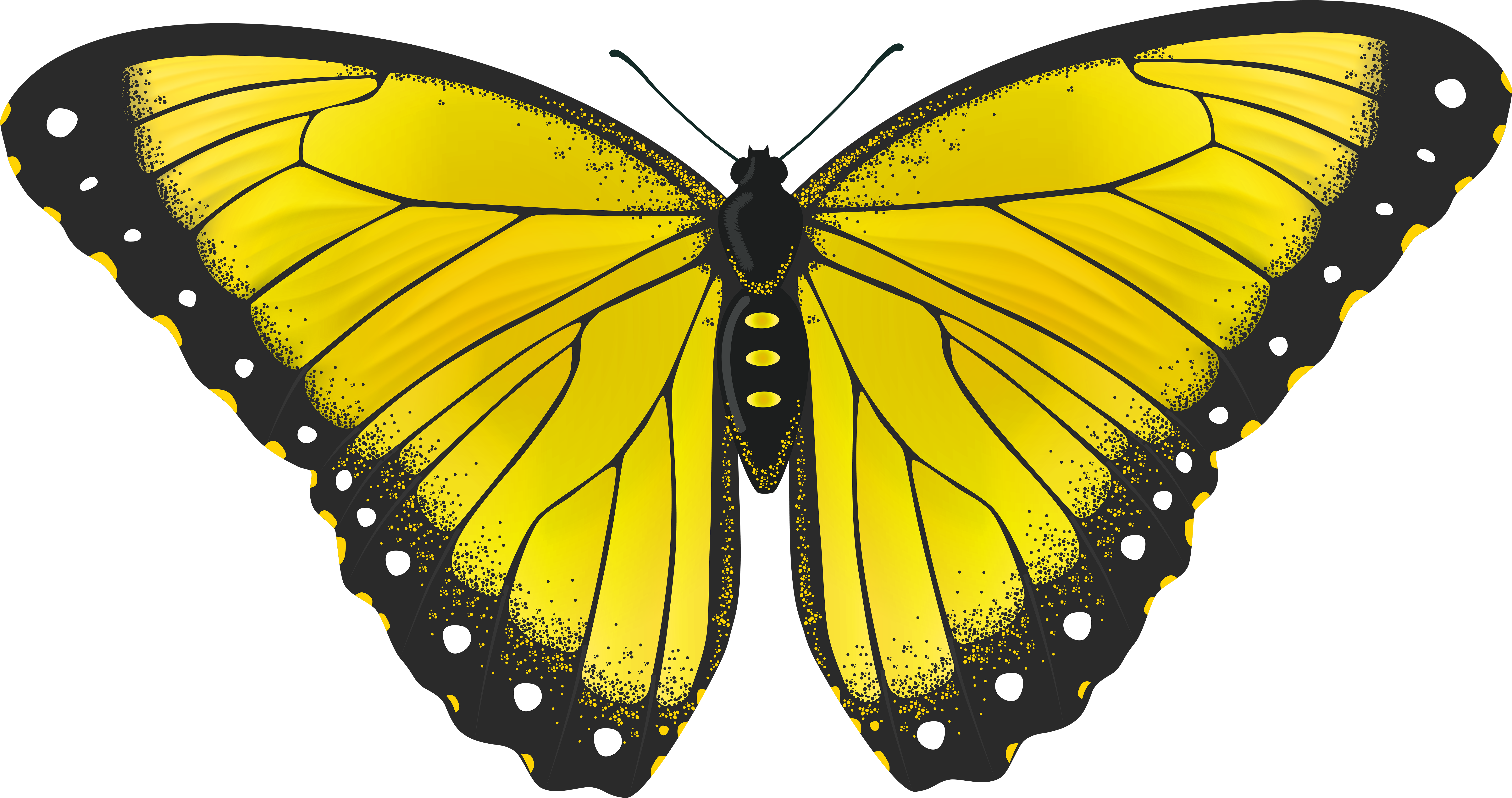 Yellow Butterflies Clipart Butterfly Transparent Png - Yellow Butterfly (8000x4221), Png Download