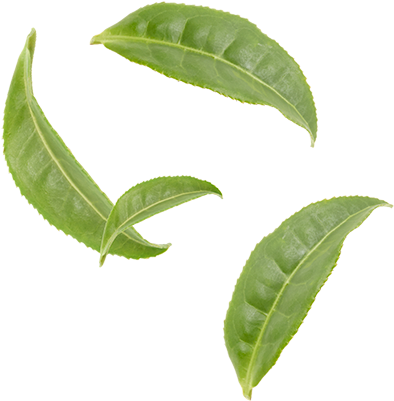 Organic Gunpowder - Tea (400x400), Png Download