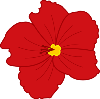 Red Hibiscus - Hawaiian Hibiscus (351x347), Png Download