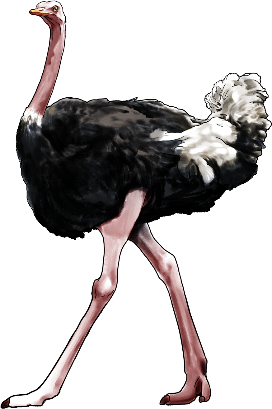 100 Philosophers 100 Artworks 100 Words - Ostrich Png (883x1350), Png Download