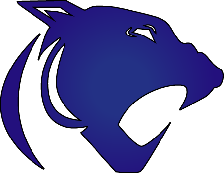 Croix Central High School Home Of The Panthers - St Croix Central High School Hammond (455x351), Png Download