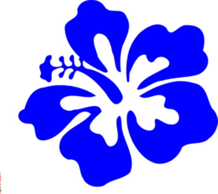Hawaiian Flower Hawaii Flower Clipart - Hibiscus Clip Art (722x640), Png Download