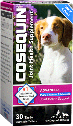 Cosequin Standard Strength Chewable Tablets (350x500), Png Download