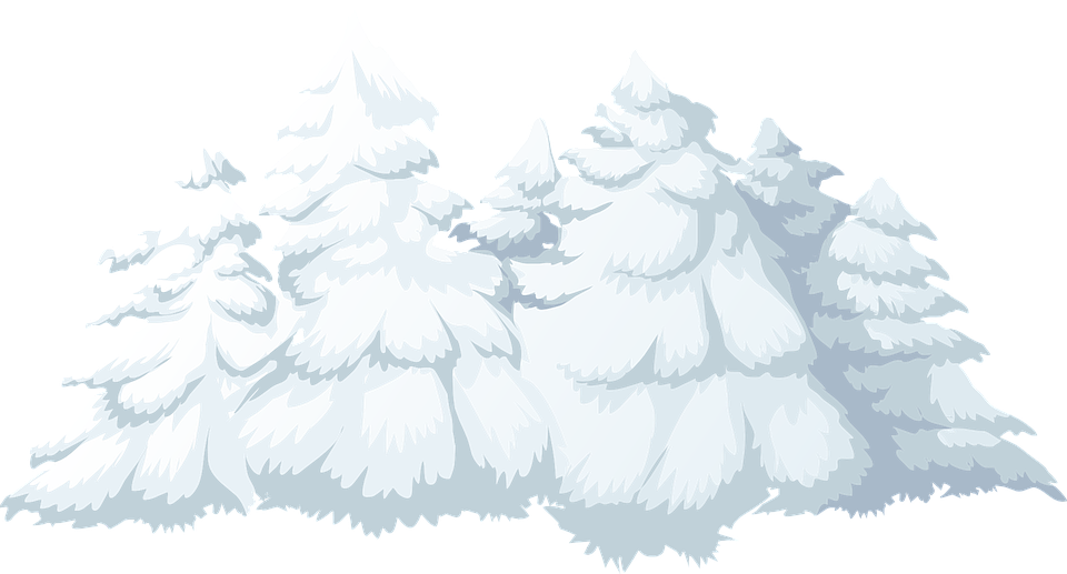 Pine Tree Clipart Winter Landscape - White Christmas Tree Clipart (900x484), Png Download