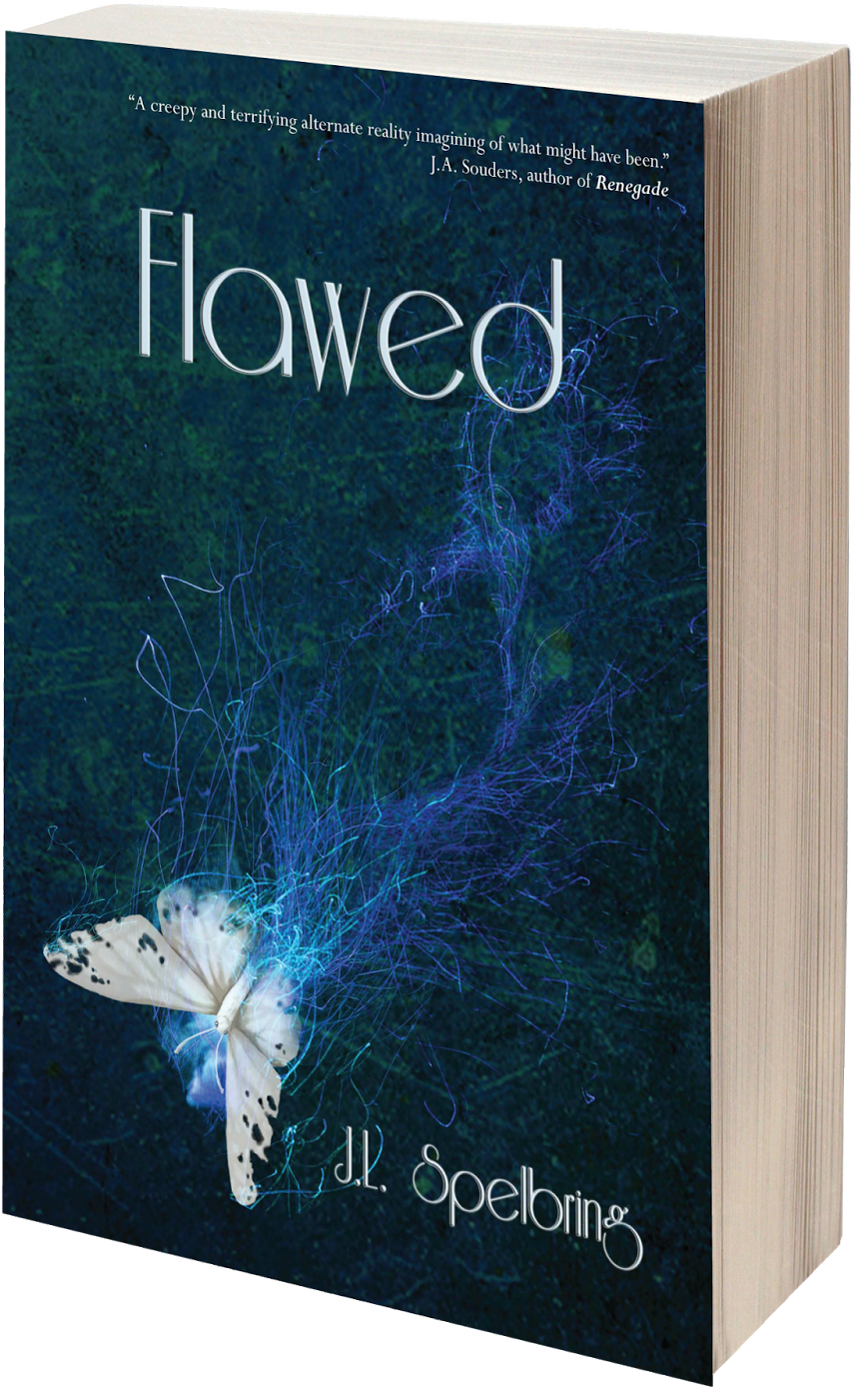 You Can Request An Arc Copy Of Flawed - Flawed (1355x1600), Png Download