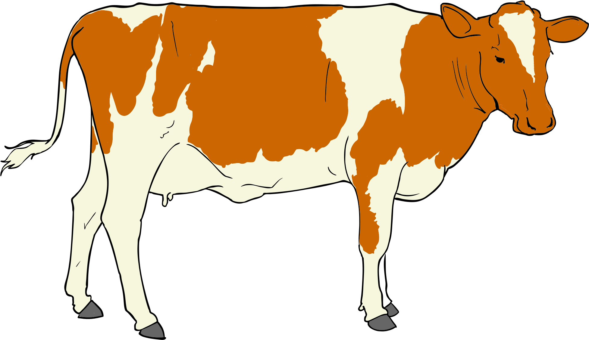 File - Clip Art Of Cow (2000x1169), Png Download