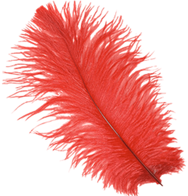 Feather Transparent Background (400x400), Png Download