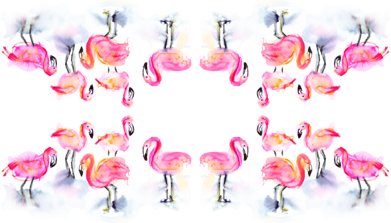 Greater Flamingo (800x458), Png Download