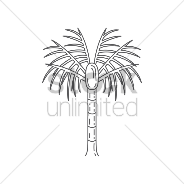 Nikau Palm Tree Vector Image - Desert Palm (600x600), Png Download