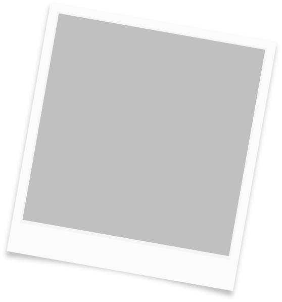 Photo Frame Clip Art - Photograph Png (558x597), Png Download