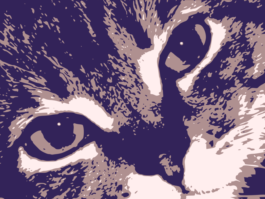Cat Face Clipart Cat Kitten Clip Art - Cat Face (900x675), Png Download