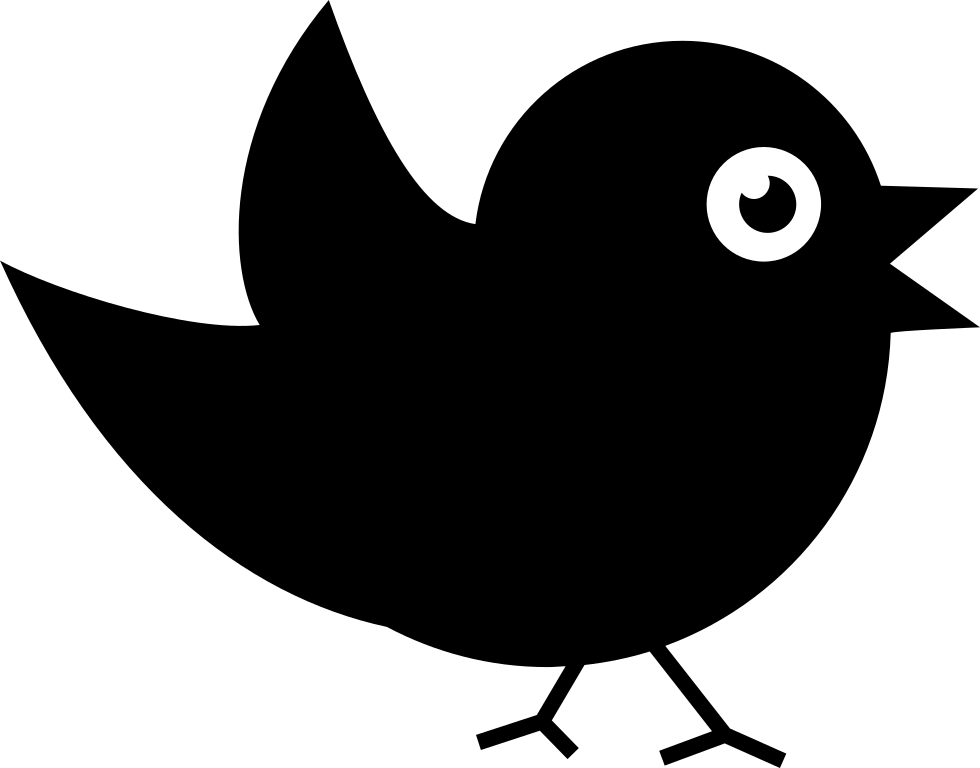 Bird Of Black Feathers Comments - Pajarito Blanco Y Negro (980x768), Png Download