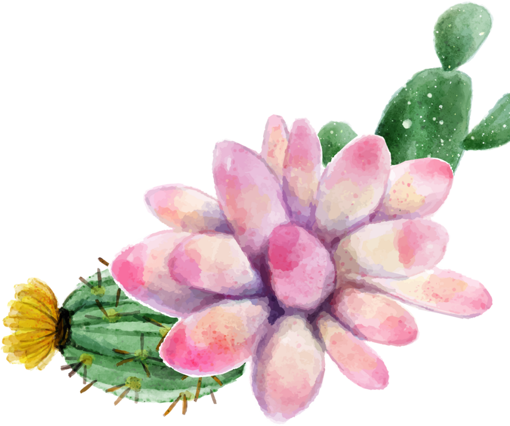 Pinturas De Plantas Suculentas (1161x1024), Png Download