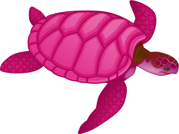 Sea Turtle Clipart Pink - Sea Turtle Clip Art (600x451), Png Download