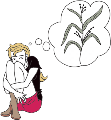 Job's Tears (450x450), Png Download