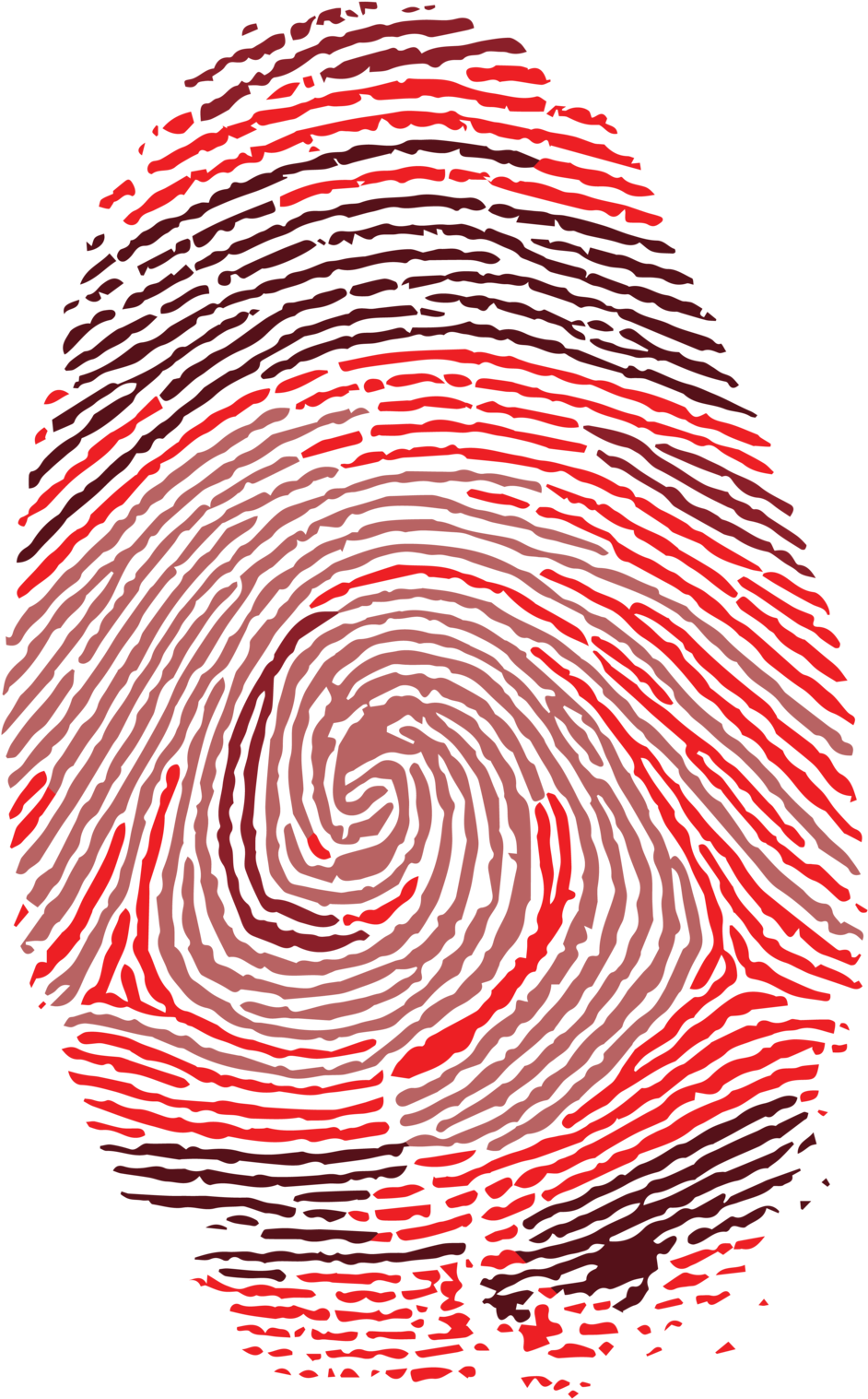 Fingerprint-01 - Super Pit Placemats, Set Of 4, Silver,reversible - (1000x1555), Png Download