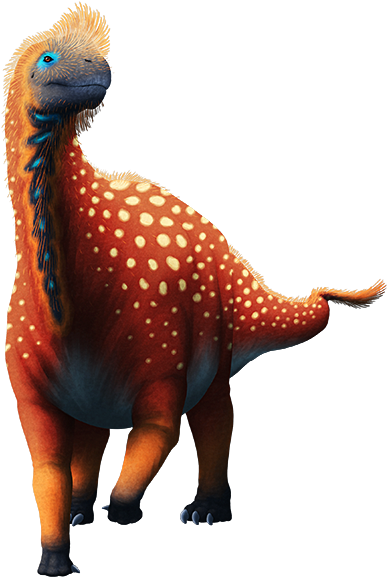 Zby (600x600), Png Download