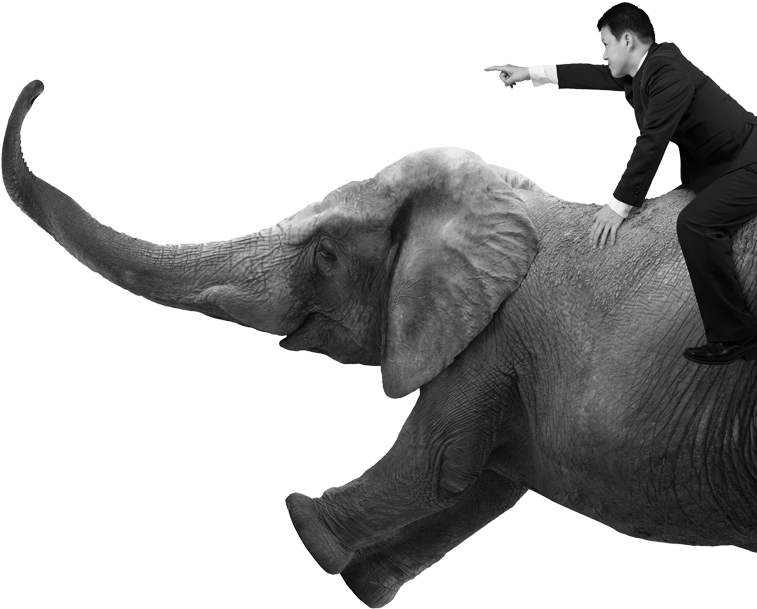 Stock Photography (781x660), Png Download