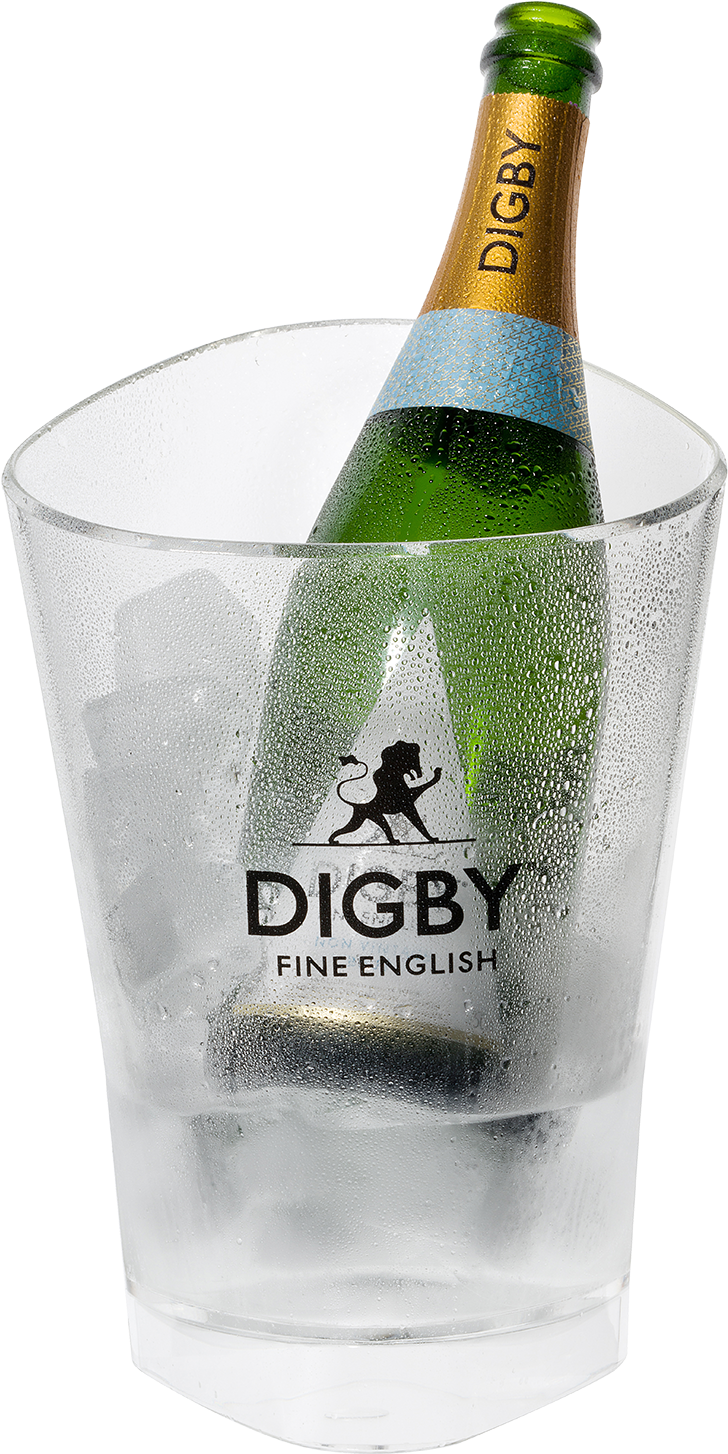 Ice Bucket - Champagne (1600x1600), Png Download