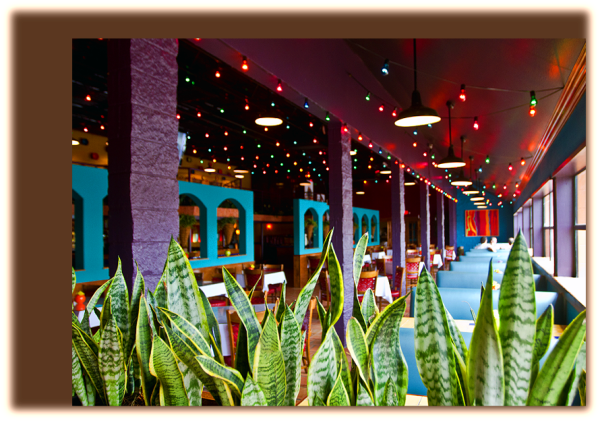 Live Mariachi Band @ Dos Comales - Floral Design (600x421), Png Download