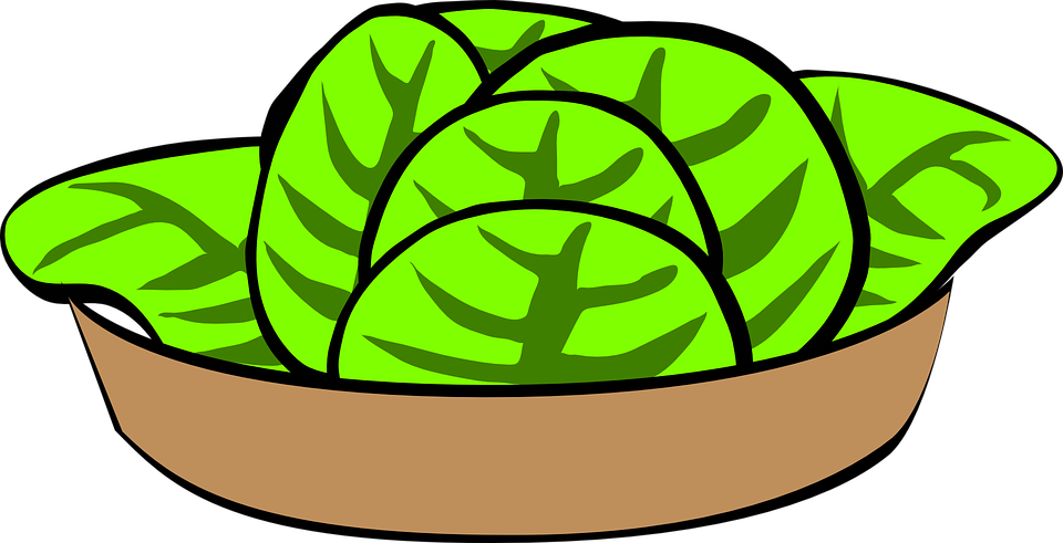 Cartoon Salad Bowl (600x307), Png Download