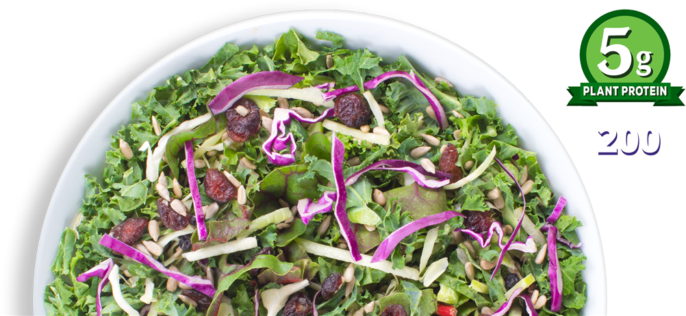 Available At These Fine Retailers - Cruciferous Vegetables (1026x475), Png Download