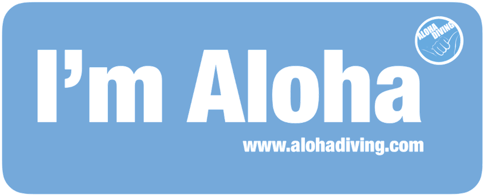 Aloha Diving - Electric Blue (1024x438), Png Download