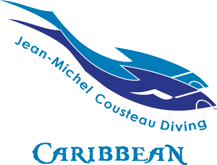 Jean-michel Cousteau Diving Caribbean - Jean-michel Cousteau (800x568), Png Download