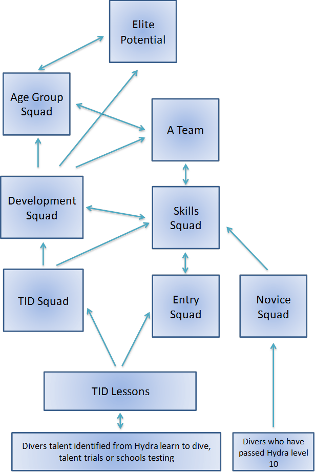 If You Would Like To Book Onto A Course Of Diving Lessons - Diagram (615x921), Png Download