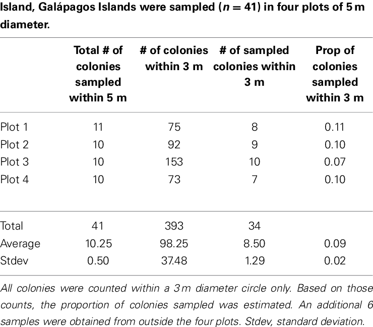 Pocillopora Colonies In The Concha Y Perla Lagoon On - Number (740x648), Png Download