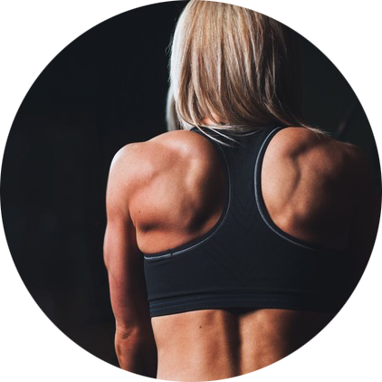 Woman Back Circle - Dumbbell Exercises-shoulders Amp Arms Laminated Posterchart (422x422), Png Download