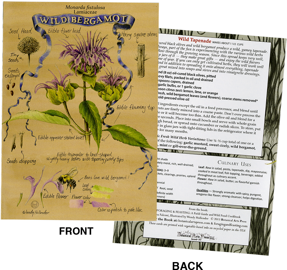 Plant Identification/recipe Note Card (1000x1000), Png Download