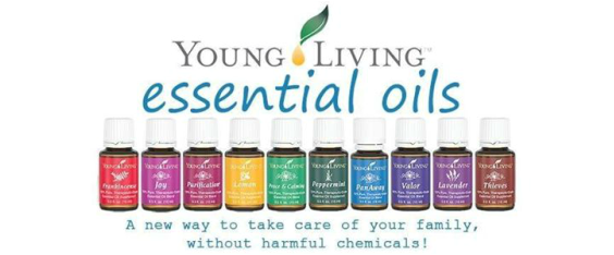 Young Living (564x234), Png Download
