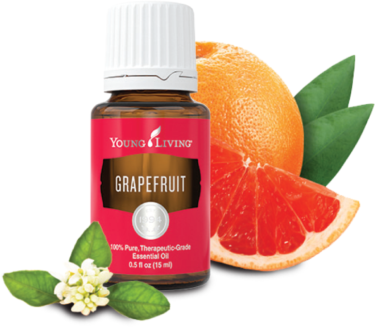 Young Living Grapefruit Essential Oil 15 Ml (825x700), Png Download