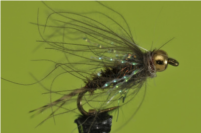 Pheasant Tail Lil' Spanker - Ichneumonoidea (398x398), Png Download
