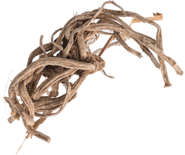 Supplemental Text Goes Here - Óleo Essencial De Vetiver 10ml (642x537), Png Download