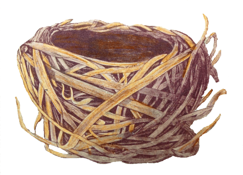 The Upstairs Bridle Bit Suite In The Barn, King Size - Nido Imagenes Png (792x570), Png Download