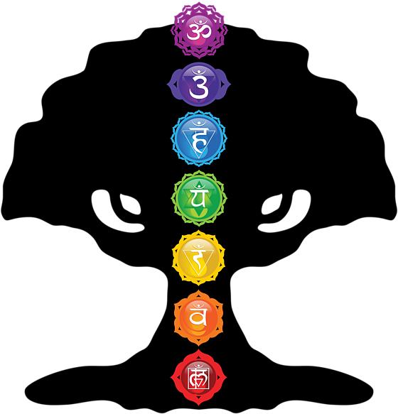 Tree Of Life Silhouette With Seven Chakras - Tree With Chakras (600x600), Png Download